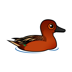 Cute Cinnamon Teal by Birdorable