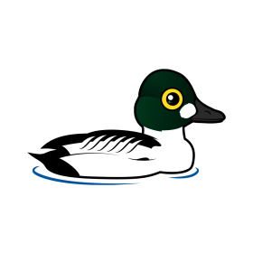 Cute Common Goldeneye by Birdorable