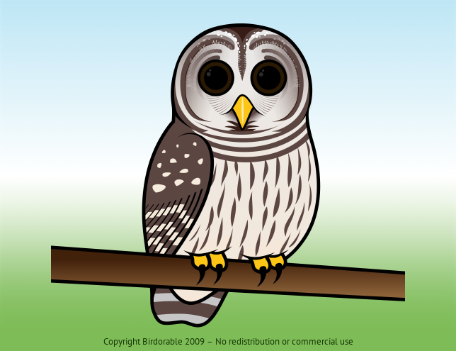 Cute Barred Owl by Birdorable