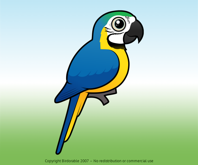 Meet the Beautiful Blue-and-yellow Macaw | Birdorable Birds