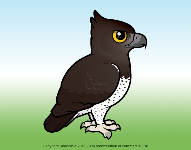 Birdorable Martial Eagle 