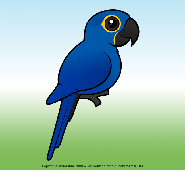 Meet the Endangered Hyacinth Macaw | Birdorable Birds