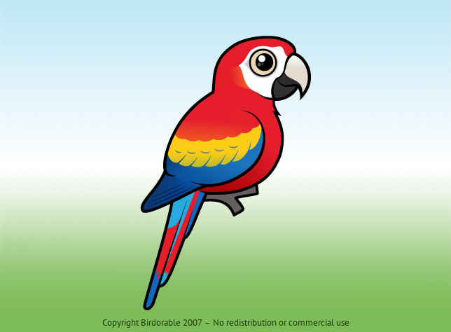 Learn About the Colorful Scarlet Macaw | Birdorable Birds