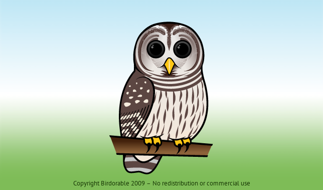 Cute Barred Owl by Birdorable