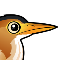 Meet the Elusive Least Bittern of the Marshlands | Birdorable Birds