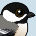 List of Fun Facts About Chickadees by Birdorable