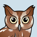 Bonanza Bird #1: Eastern Screech Owl