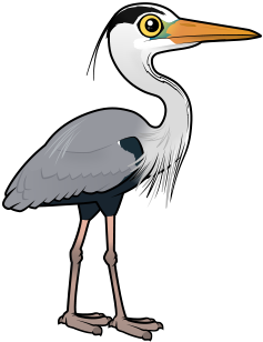 Cute Grey Heron by Birdorable