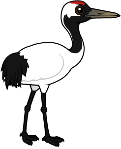 Birdorable: Learn Facts About the Red-crowned Crane