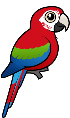 Cute Green-winged Macaw by Birdorable