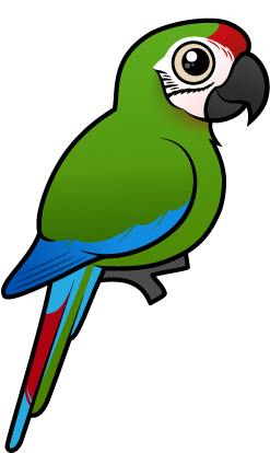 Cute Military Macaw by Birdorable