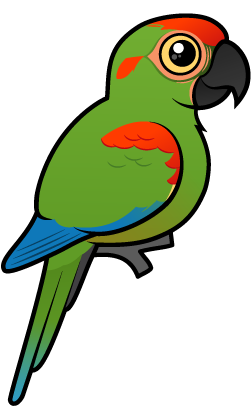 Cute Red-fronted Macaw by Birdorable