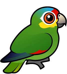 Cute Red-lored Parrot by Birdorable