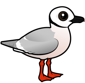 Cute Ross's Gull by Birdorable