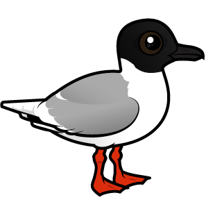 Meet Cute Little Gull by Birdorable - the Smallest Gull