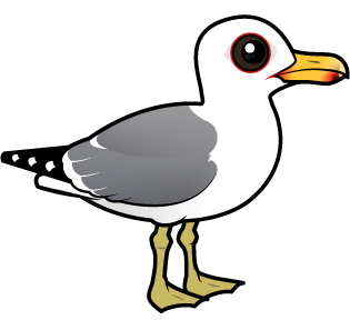 Cute California Gull by Birdorable