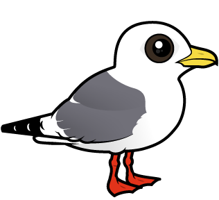 Meet the Cute Red-legged Kittiwake by Birdorable