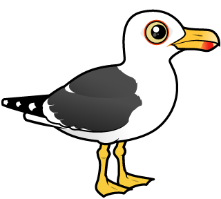 About the Cute Lesser Black-backed Gull by Birdorable