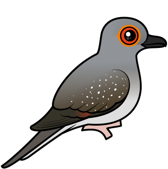 Cute Diamond Dove by Birdorable < Meet the Birds