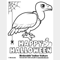 Vulture Coloring Book: A Cute Adult Coloring Books for Vulture Owner, Best  Gift for Vulture Lovers