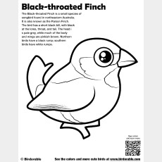 Cute Coloring Pages by Birdorable - Free Downloads