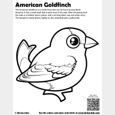 Cute Coloring Pages by Birdorable - Free Downloads