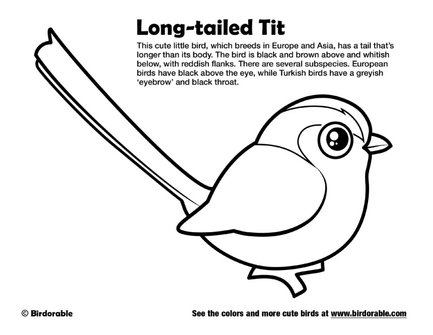 Long-tailed Tit Coloring Page by Birdorable