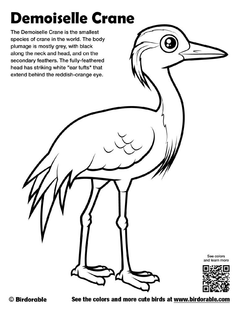 Demoiselle Crane Coloring Page by Birdorable