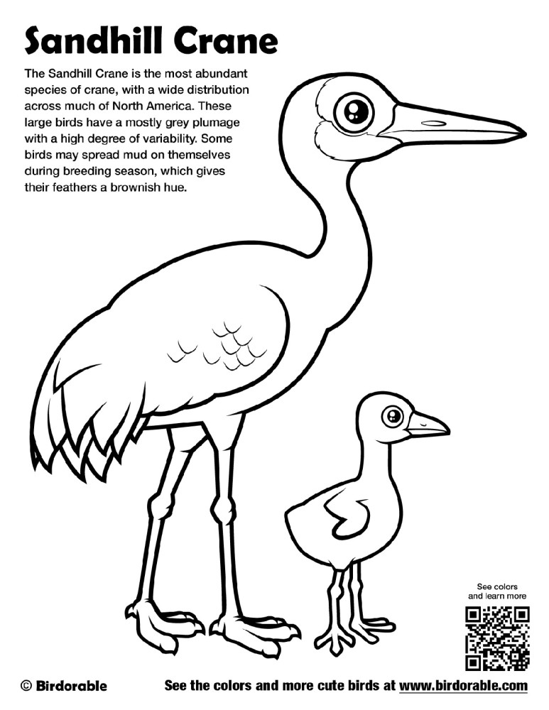 Sandhill Crane Coloring Page by Birdorable