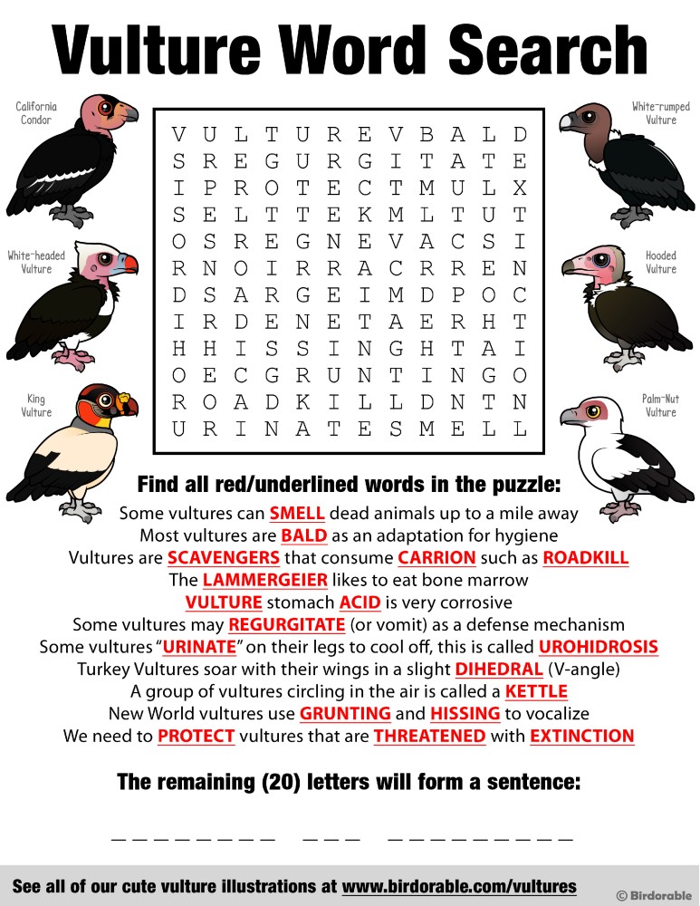 Vulture Word Search by Birdorable