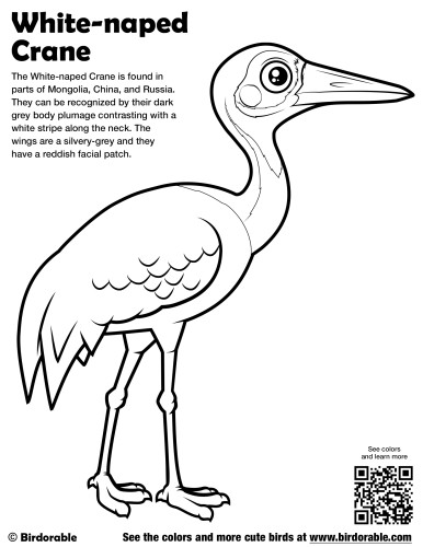 White-naped Crane Coloring Page by Birdorable