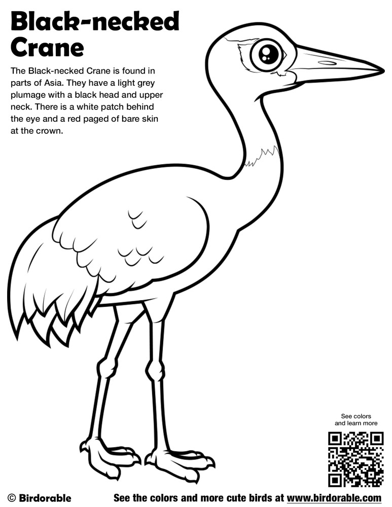 Black-necked Crane Coloring Page by Birdorable