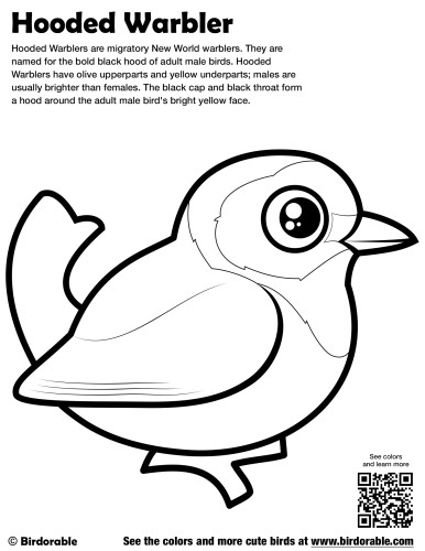 Hooded Warbler Coloring Page by Birdorable