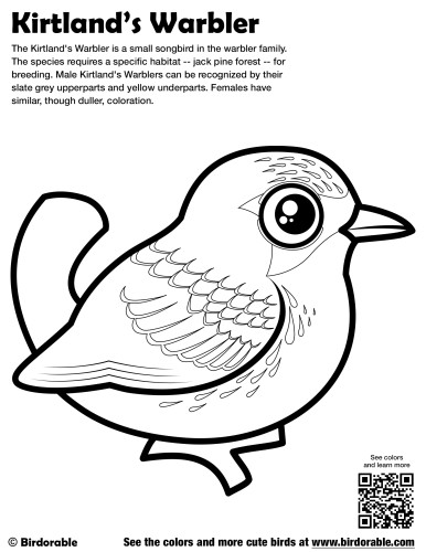 Kirtland's Warbler Coloring Page by Birdorable