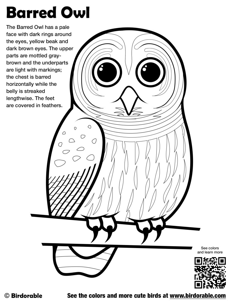 Barred Owl Coloring Page by Birdorable