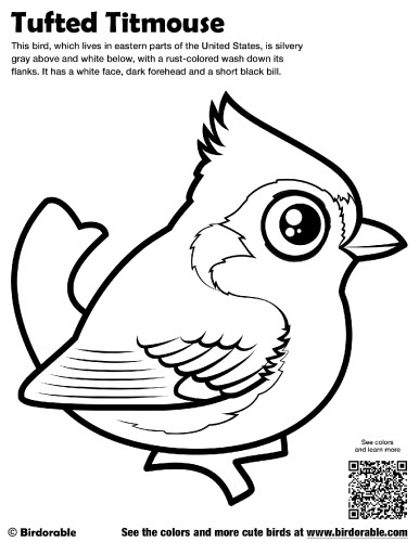 Tufted Titmouse Coloring Page by Birdorable