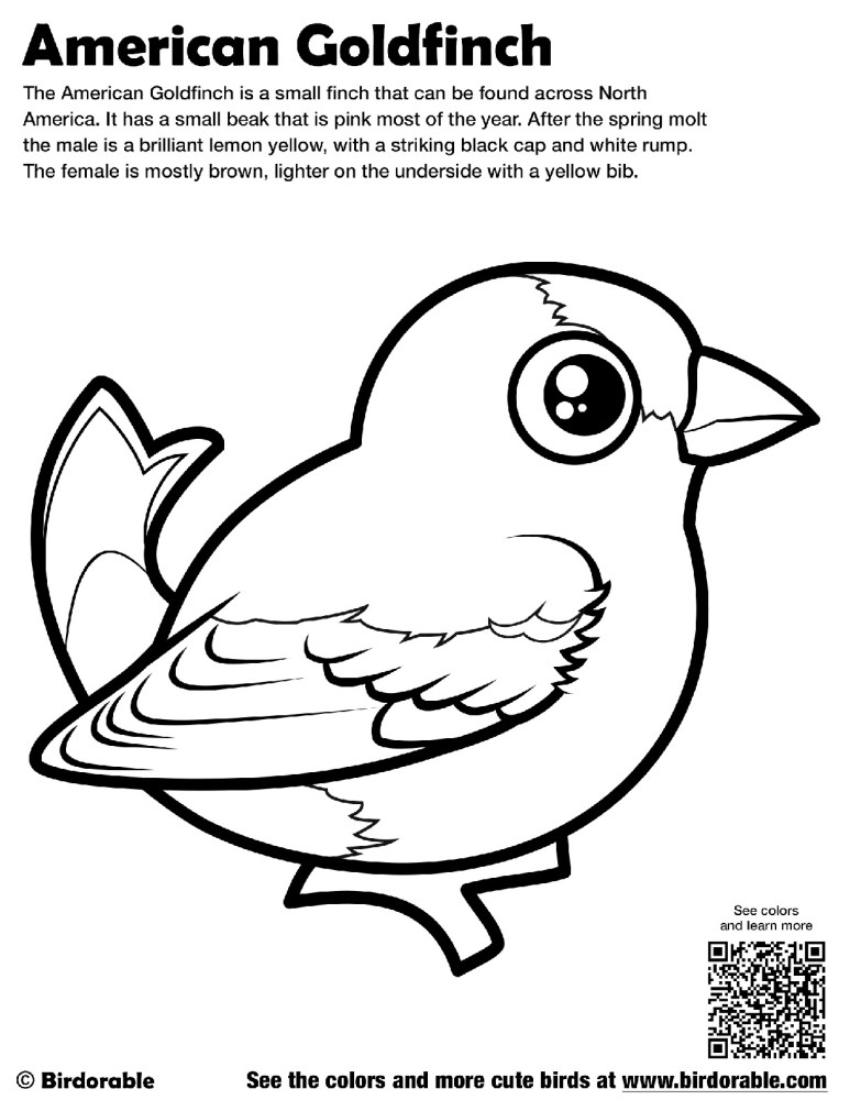 American Goldfinch Coloring Page by Birdorable