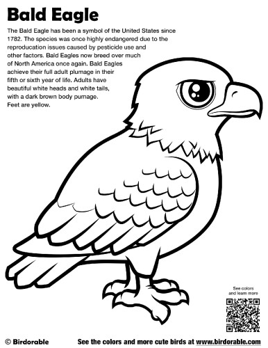 Bald Eagle Coloring Page by Birdorable