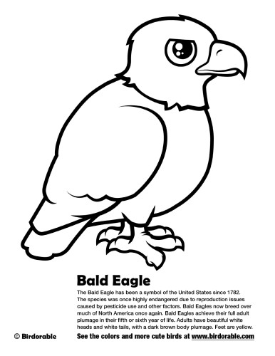 Bald Eagle Coloring Page by Birdorable