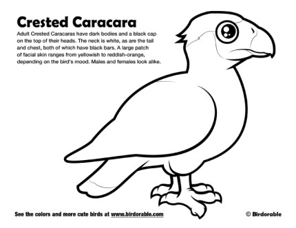 Crested Caracara Coloring Page by Birdorable