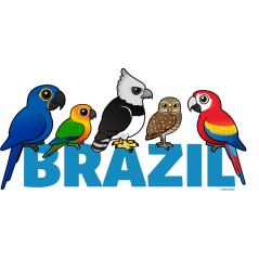 Birdorable Brazil