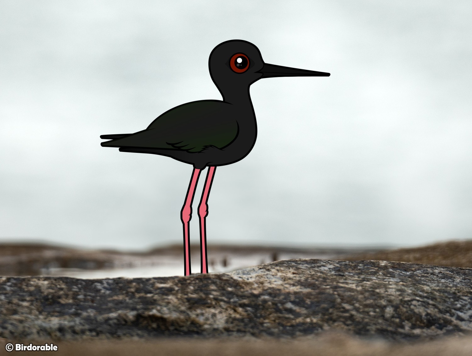 Stilt Species Spotlight: Learn About the World's 6 Stilts