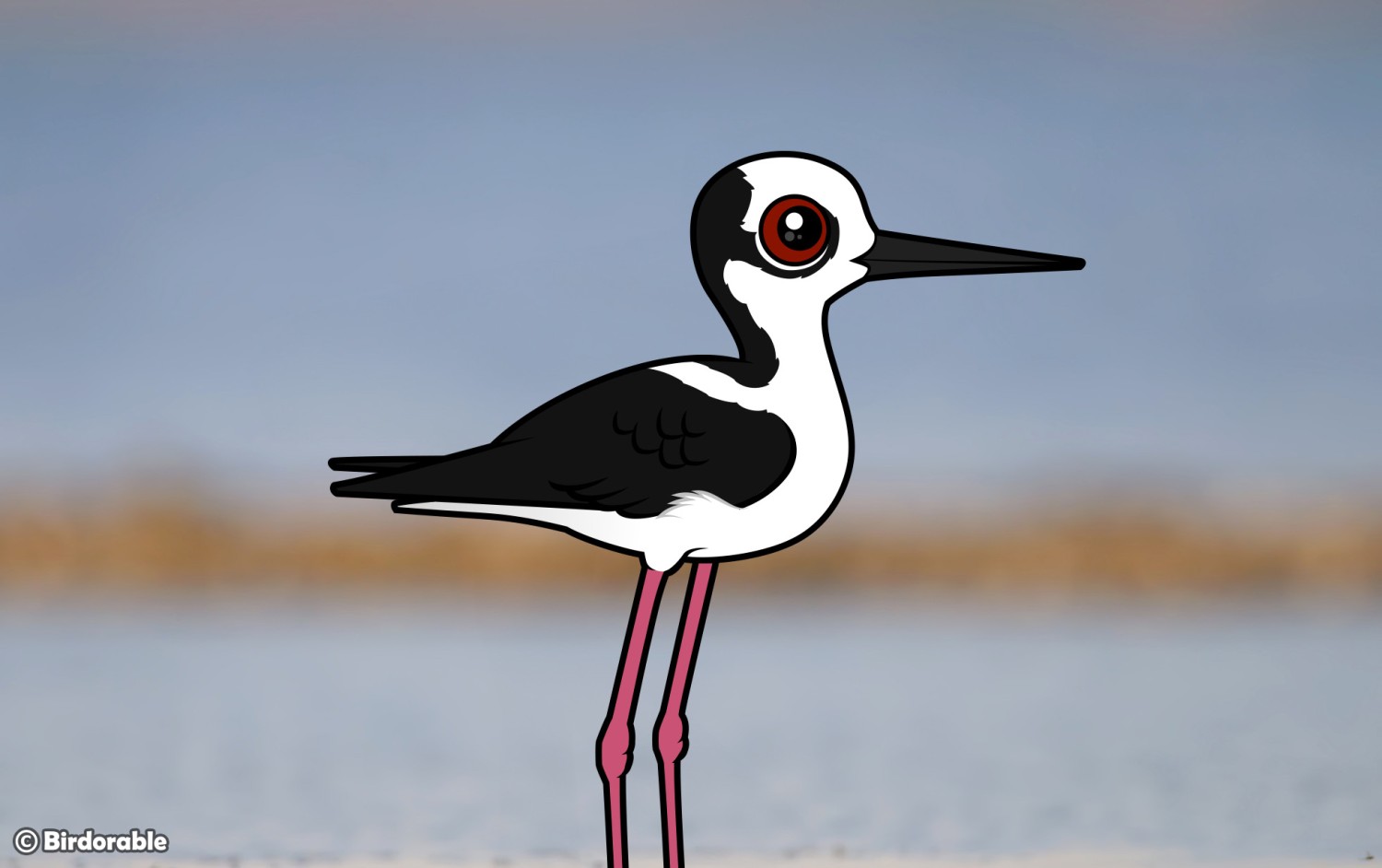 Stilt Species Spotlight: Learn About the World's 6 Stilts