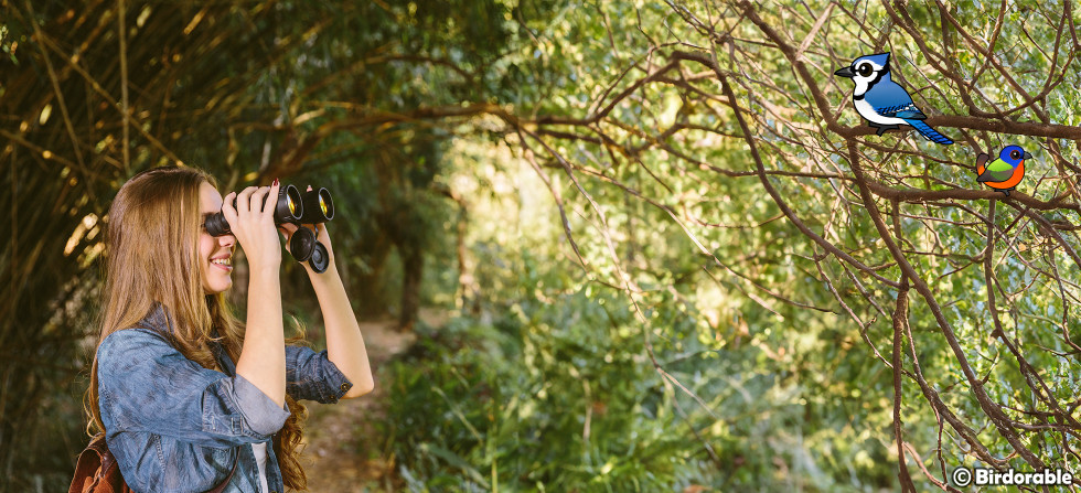 Great Backyard Bird Count: Join the Global Birdwatching Event